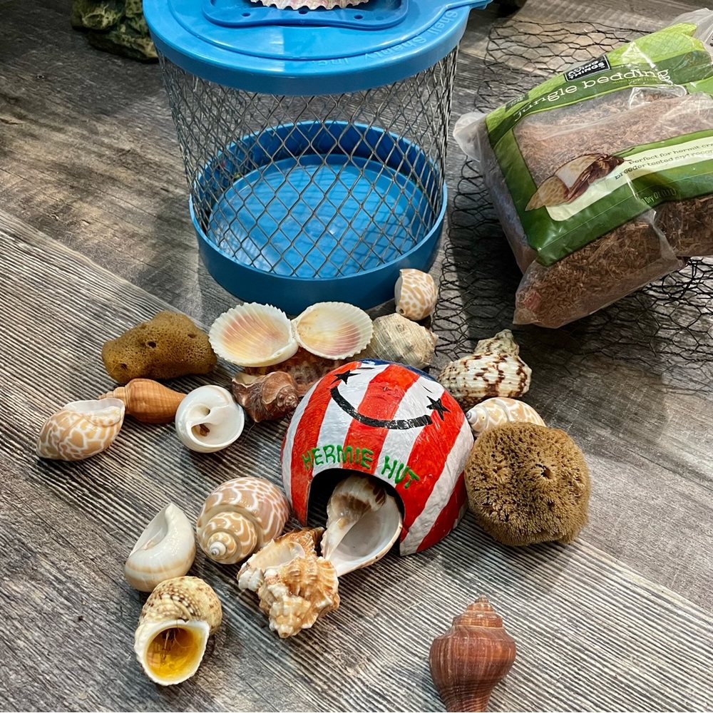 Hermit Crab lot of items.